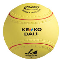KENKO(ケンコー) 学校体育 ソフトボール 検定球 3号 KS12PUR 1セット（6球）（直送品）
