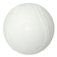 NAIGAI(ナイガイ) ソフトボール 練習用 検定落ち球 2号 コルク芯 S2C2 1セット（60球）（直送品）