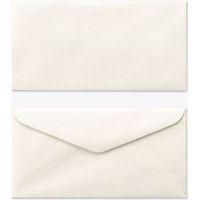 山櫻 特殊紙封筒 洋6 ファンシーB (枠無) 00407054 1箱(100枚)（直送品）