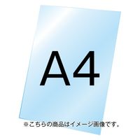 常磐精工　VASK用透明アクリル板1.5mm厚 A4　VASKOP-ACCA4　1台（直送品）