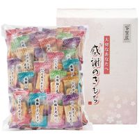 大阪前田製菓 米菓詰合せ 感謝のきもち OT-10 1個（直送品）