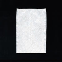 東京メディカル 調理用品 不織布ダシとり袋 250×350mm 1570073 1ケース(1200個(100個×12))（直送品）