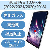 iPad Pro 12.9インチ ガラスフィルム 高透明 ブルーライトカット TB-A23PLFLGARBL エレコム 1個（直送品）