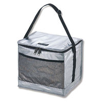 【保冷バッグ】パール金属 M-1851 デリス シルバーソフトクーラー15L 004542601 1個（わけあり品）