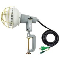 日動工業 エコビックLED投光器 AFL-E4005J 1PC（直送品）