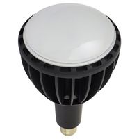 日動工業 LED交換球 L100W-E39J-WBK-50K 1PC（直送品）