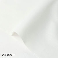 NBK エイティスクエア 無地 生地 綿100% シャーティング アイボリー 白系 巾約110cm×3m切売カット KD4630-102-3（直送品）