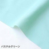 NBK エイティスクエア 無地 生地 綿100% シャーティング パステルグリーン グリーン系 巾約110cm×8m切売カット KD4630（直送品）