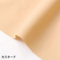 日本紐釦貿易 NBK エイティスクエア 無地 生地 綿100% シャーティング カスタード ベージュ系 巾約110cm
