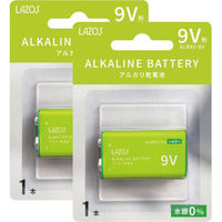 ベストアンサー アルカリ乾電池 9V 2本 p-toy-ba01-2p 1セット(2個)（直送品）
