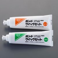 エスコ 1.0kg エポキシ接着剤 EA934KA-22 1個（直送品）