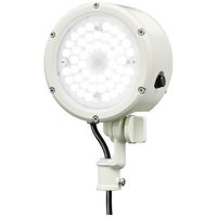 岩崎電気 小型LED投光器 (33W/中角/昼白色/白) E30015M/NSAN9/W 1個（直送品）