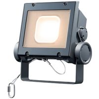 岩崎電気 LED投光器(クラス40 超広角) ECF4040SW/LSAN8/DG 1個（直送品）