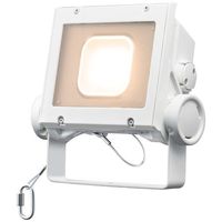 岩崎電気 LED投光器(クラス40 超広角) ECF4040SW/LSAN8/W 1個（直送品）