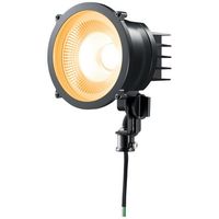 岩崎電気 小形LED投光器(丸形)電球色タイプ，広角 E30011W/LSAN9/BK 1個（直送品）