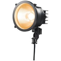 岩崎電気 小形LED投光器(丸形)電球色タイプ，中角 E30013M/LSAN9/BK 1個（直送品）
