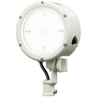 岩崎電気 小型LED投光器 (35W/広角/昼白色/白) E30015W/NSAN9/W 1個（直送品）