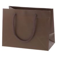 シモジマ 手提げ紙袋 ブライトバッグ 23ー12 チョコブラウン(MT) 4901755569568 1箱(10枚入/袋×5袋)（直送品）