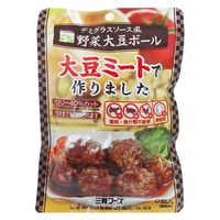 三育フーズ(株)◆ 三育フーズ デミグラスソース風野菜大豆ボール 100g x15 4974434200489 1セット(15個)（直送品）