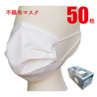ジェイワークスプランニング 不織布マスク 50枚入り ふつうサイズ ホワイト JWP-563-50P 1箱(50枚入)（直送品）