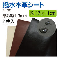 日本紐釦貿易(Nippon Chuko) 撥水本革シート 2枚入り 17×11cm 赤茶 KTF29-A 手芸・ハンドメイド用品（直送品）