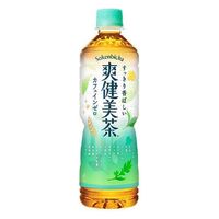 コカ・コーラ 爽健美茶 600ml(24本) 1セット(2箱)（直送品）