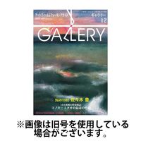 月刊ギャラリー 2024/03/01発売号から1年(12冊)（直送品）
