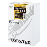 ロブテックス ブラインドリベット(1000本入) LST54 1BOX(1000本)（直送品）