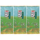 朝日茶業　静岡茶　煎茶　1セット（200g×3袋）  オリジナル