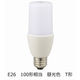 オーム電機 LED電球 T形 E26 100形相当 昼光色 全方向 LDT13D-G IG92 1個