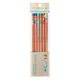 トンボ鉛筆 かきかた鉛筆ハローネイチャー2 2B ACF-664F 1セット（30本：6本入×5）