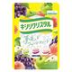 春日井製菓 キシリクリスタル フルーツのど飴 4901326130555 67ｇ×12個（直送品）