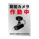 日本緑十字社 イラストステッカー標識 防犯カメラ作動中 貼ー134 220×150mm 2枚組 PET 047134 1組(2枚)（直送品）