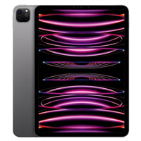 iPad Pro