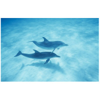 アートパネル/インテリアアート