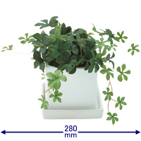 人工観葉植物/インテリアグリーン