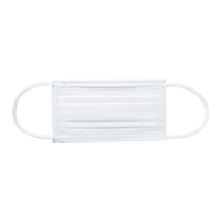 プリーツマスク