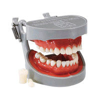 その他歯科用品・材料・器械