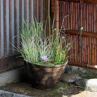 ガーデニング用品