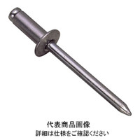 ブラインドリベット