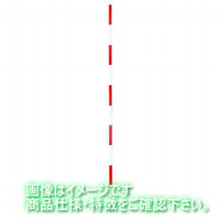 ピンポール/スタッフ