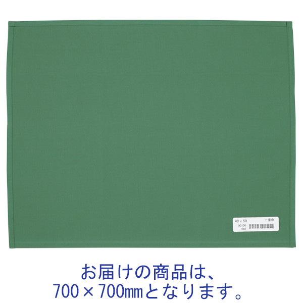 ナガイレーベン 一重四角巾 綿布 穴なし 700×700mm グリーン AD-90100（取寄品） アスクル