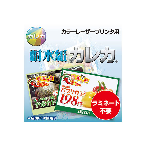 耐水紙カレカ　光沢片面印刷厚手　白　B4　MW5-B4250　1冊（250枚入）　（取寄品）