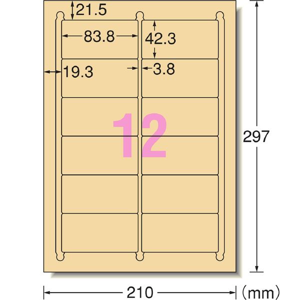 エーワン ラベルシール パッケージラベル プリンタ兼用 クラフト紙 A4 12面 ライトブラウン 28499 1袋（15シート入）（取寄品）