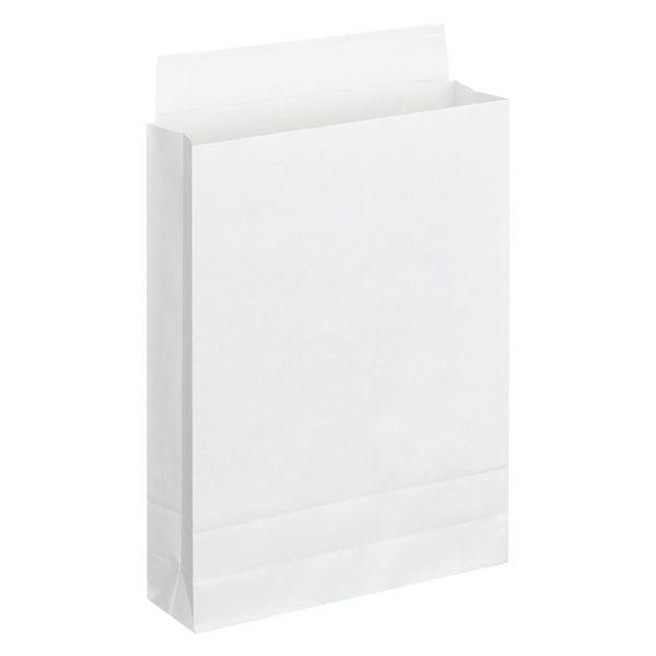 「現場のチカラ」 スーパーバッグ 宅配袋（紙製） 白 中サイズ 封かんシール付 1パック（10枚入）  オリジナル