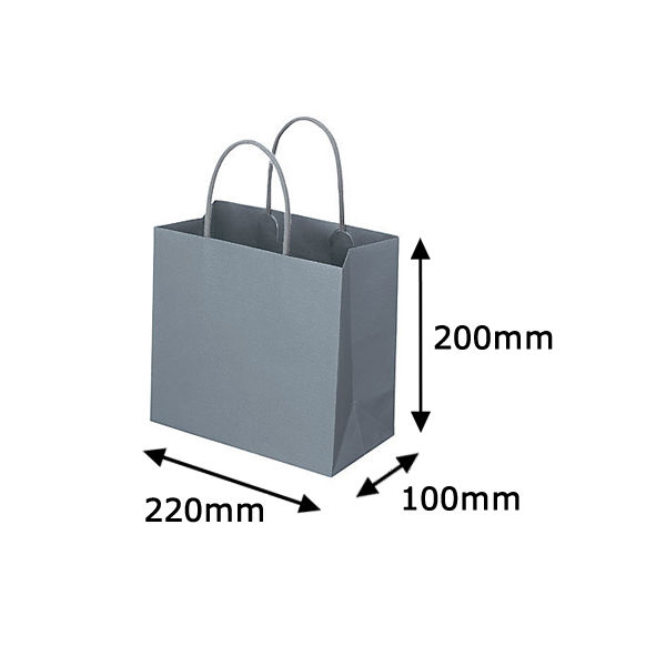 レザートーン手提袋　丸紐　クールグレー　M　1箱（300枚：10枚入×30袋）　スーパーバッグ  オリジナル
