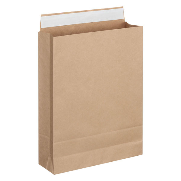 現場のチカラ」 スーパーバッグ 宅配袋（紙製） 茶 大サイズ 封かんシール付 1パック（100枚入） オリジナル - アスクル
