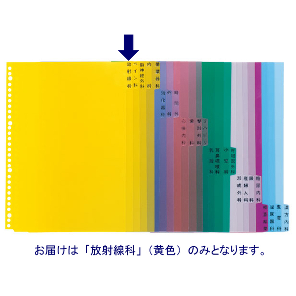 ケルン　KS-782-01　科別インデックス（放射線科）　A4　1パック（100枚入）　（直送品）