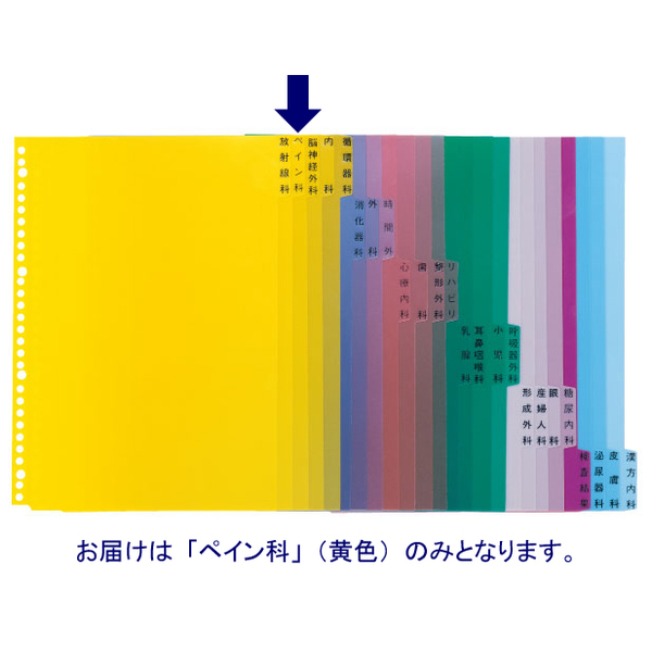 ケルン　KS-782-02　科別インデックス（ペイン科）　A4　1パック（100枚入）　（直送品）