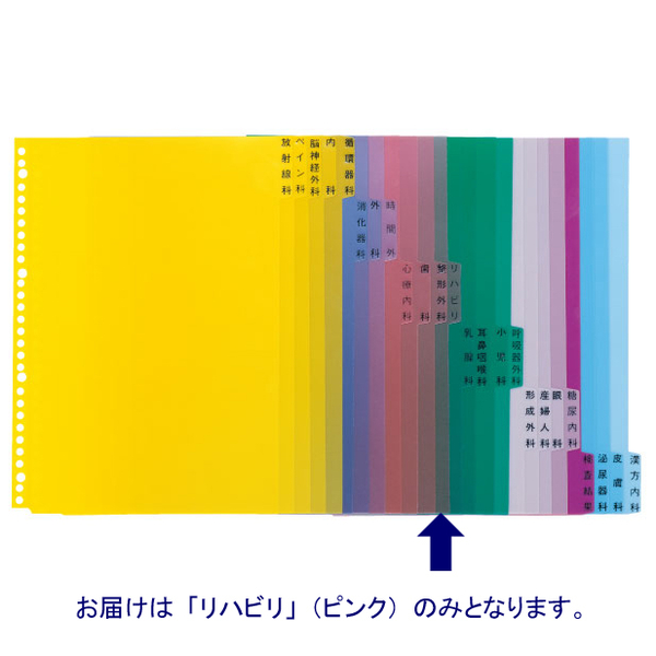 ケルン　KS-782-12　科別インデックス（リハビリ）　A4　1パック（100枚入）　（直送品）